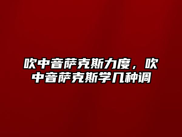 吹中音薩克斯力度，吹中音薩克斯學幾種調