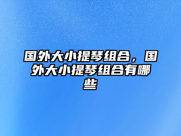 國外大小提琴組合，國外大小提琴組合有哪些