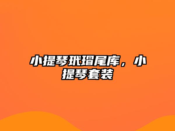 小提琴玳瑁尾庫，小提琴套裝