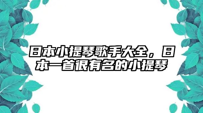 日本小提琴歌手大全，日本一首很有名的小提琴