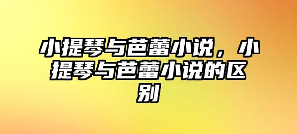 小提琴與芭蕾小說，小提琴與芭蕾小說的區(qū)別