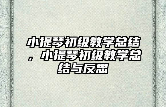 小提琴初級教學總結，小提琴初級教學總結與反思