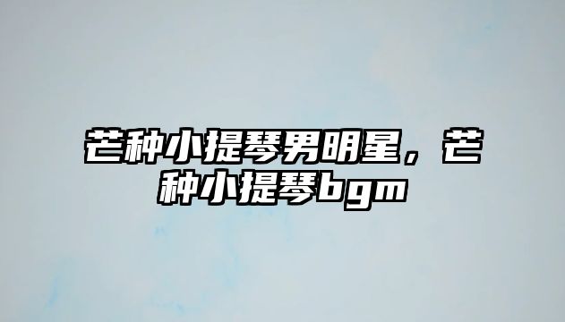 芒種小提琴男明星，芒種小提琴bgm