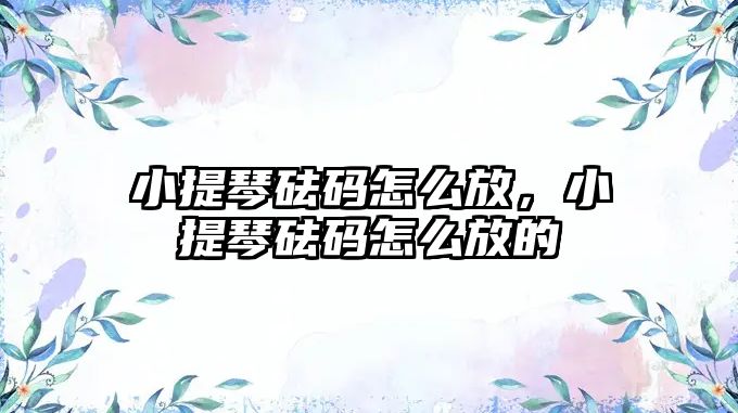 小提琴砝碼怎么放，小提琴砝碼怎么放的