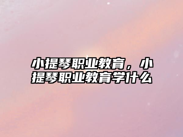 小提琴職業(yè)教育，小提琴職業(yè)教育學(xué)什么