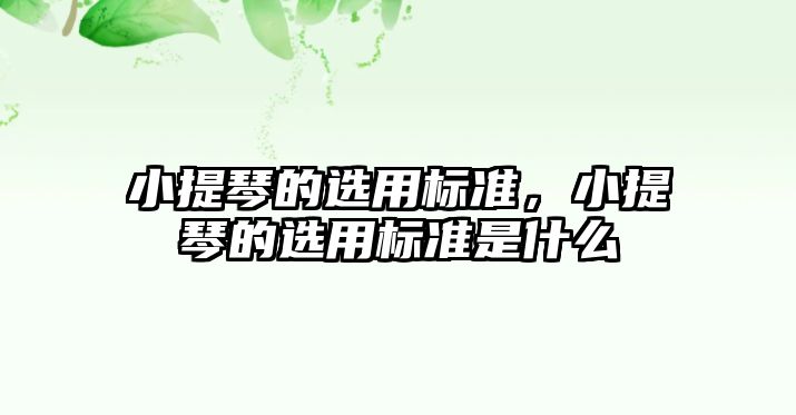 小提琴的選用標準，小提琴的選用標準是什么