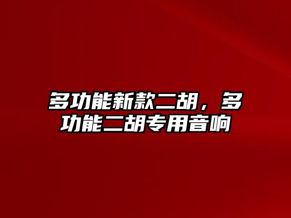 多功能新款二胡，多功能二胡專用音響