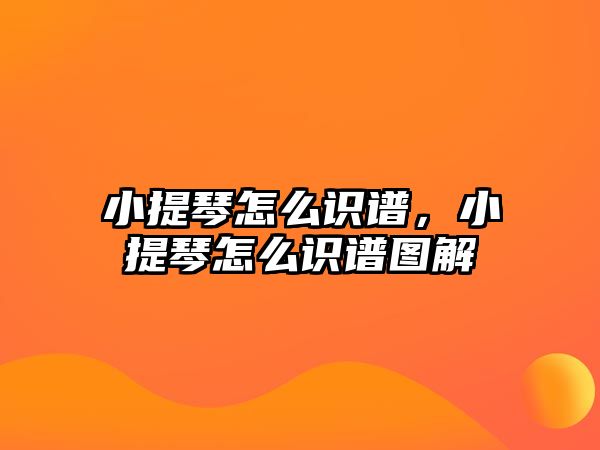 小提琴怎么識(shí)譜，小提琴怎么識(shí)譜圖解