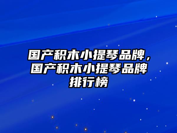 國產積木小提琴品牌，國產積木小提琴品牌排行榜