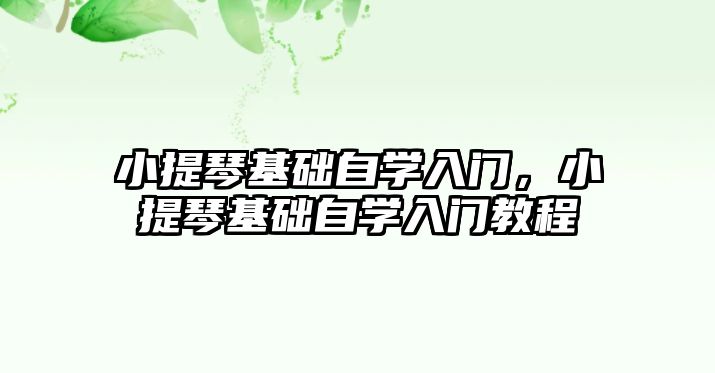 小提琴基礎自學入門，小提琴基礎自學入門教程