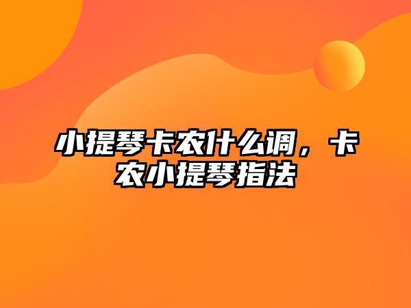 小提琴卡農什么調，卡農小提琴指法