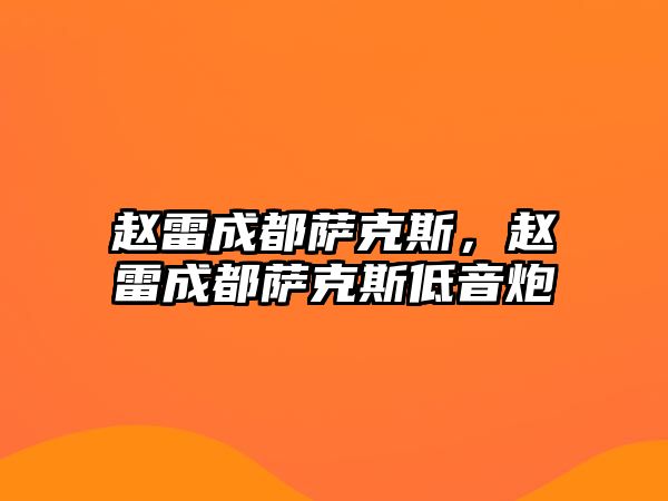 趙雷成都薩克斯，趙雷成都薩克斯低音炮