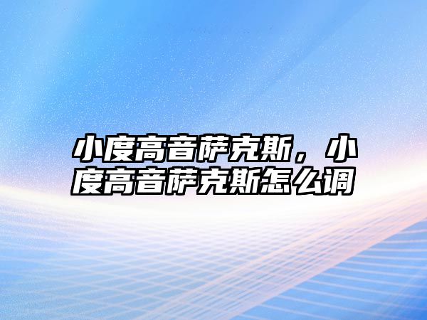 小度高音薩克斯，小度高音薩克斯怎么調