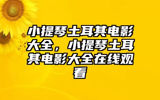 小提琴土耳其電影大全，小提琴土耳其電影大全在線觀看