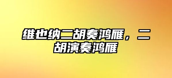 維也納二胡奏鴻雁，二胡演奏鴻雁