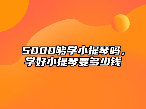 5000夠學小提琴嗎，學好小提琴要多少錢