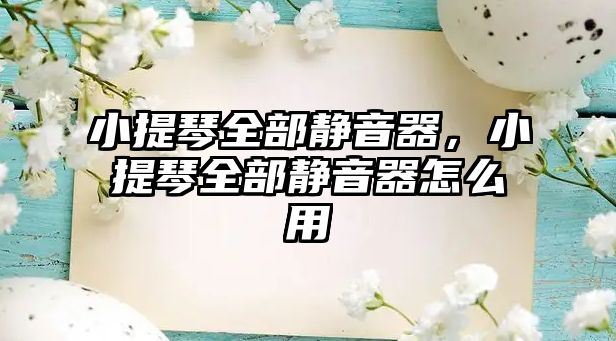 小提琴全部靜音器，小提琴全部靜音器怎么用