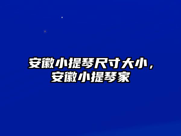 安徽小提琴尺寸大小，安徽小提琴家