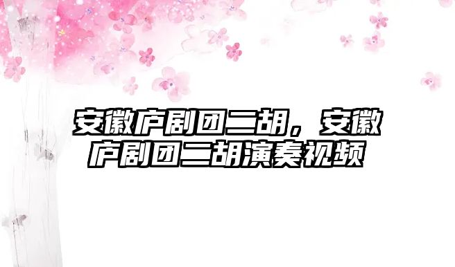 安徽廬劇團二胡，安徽廬劇團二胡演奏視頻