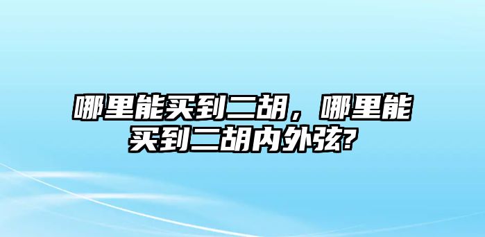 哪里能買到二胡，哪里能買到二胡內外弦?