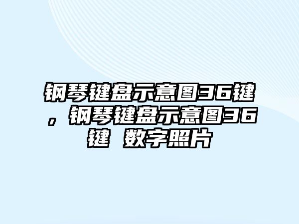 鋼琴鍵盤示意圖36鍵，鋼琴鍵盤示意圖36鍵 數字照片