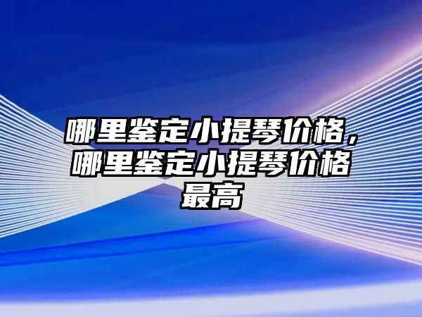 哪里鑒定小提琴價格，哪里鑒定小提琴價格最高