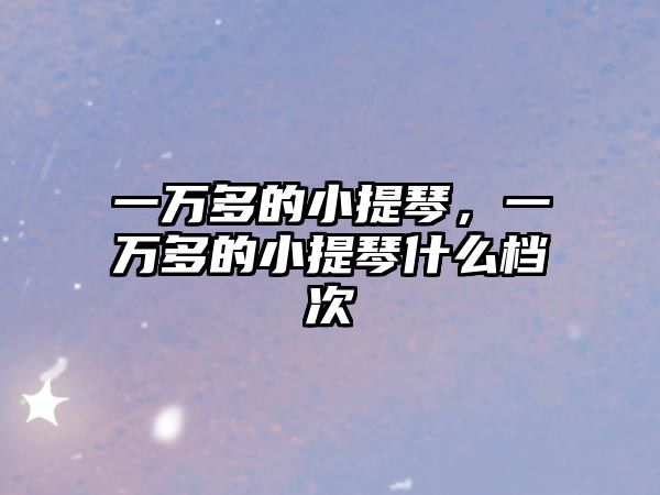 一萬多的小提琴，一萬多的小提琴什么檔次