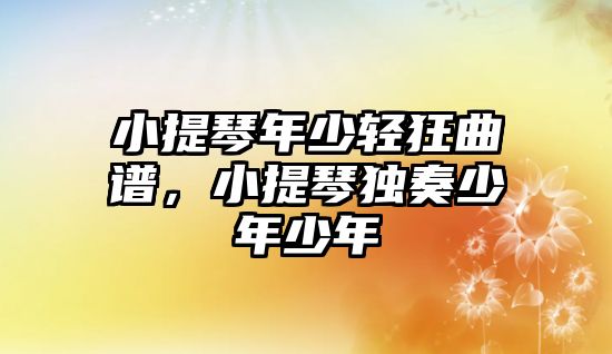 小提琴年少輕狂曲譜，小提琴獨奏少年少年